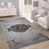 Limited Edition - Rug CP56